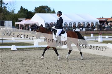 181894_mtp_05_R62_5249.JPG