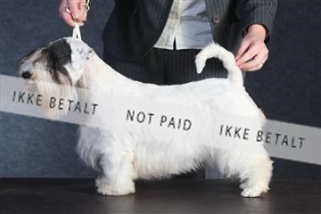 132082_le_ 01_IMG_0328.JPG