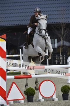139644_abo_01__AB14275.JPG