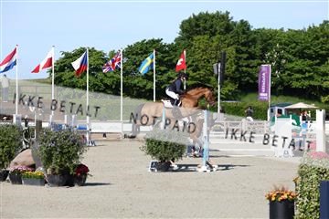 181436_avh_01_3275.JPG