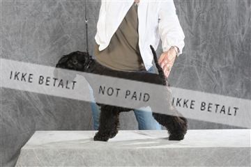 130054_le_ 03_0251.JPG