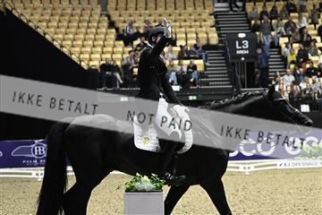 182194_kbb_03_Z092161.JPG