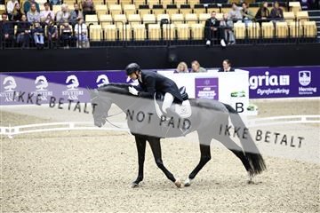 182194_avh_05_2117.JPG