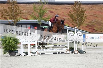 181922_avh_02_1347.JPG