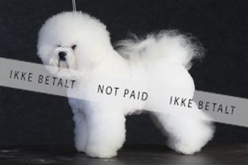 132082_le_ 01_IMG_0197.JPG