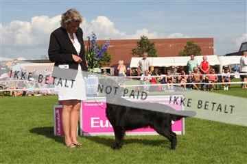130370_se_03_IMG_7856.JPG