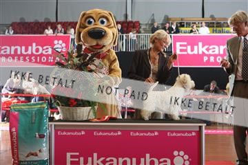 6068_ma_05_IMG_6016.JPG
