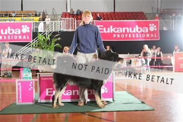 6068_ma_05_IMG_6062.JPG