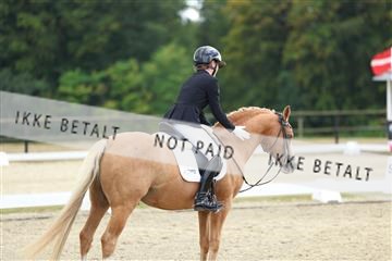 181894_mtp_03_R62_3007.JPG