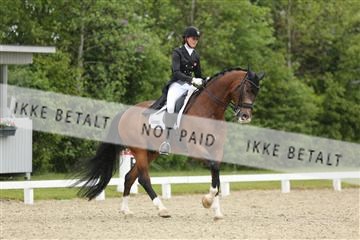 139835_sg_01_IMG_8241.JPG