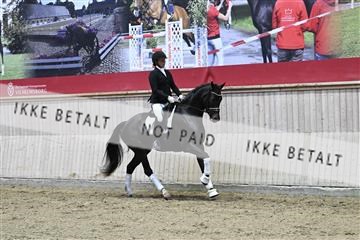 182241_kbb_01_Z093143.JPG