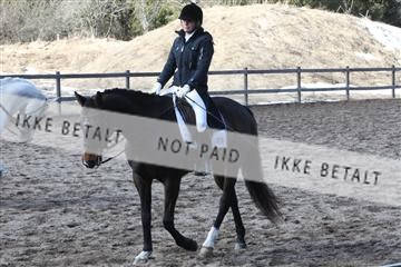 139267_kl_1_8M1Q6914.JPG