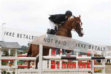 5350_sme _08_IMG_4947.JPG