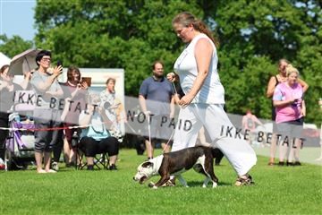181564_rin_02_R62_2753.JPG