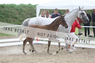 125406_sc_02_IMG_0145.jpg