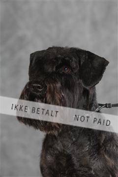 130054_le_ 03_0275.JPG