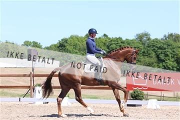 181449_bc_01R62_5647.JPG