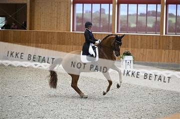 182176_kbb_01_Z094524.JPG