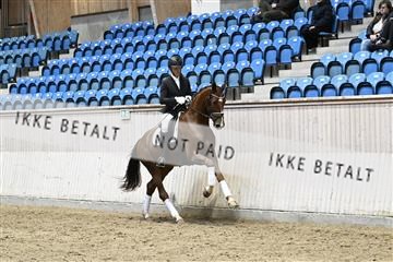 182241_kbb_01_Z093477.JPG
