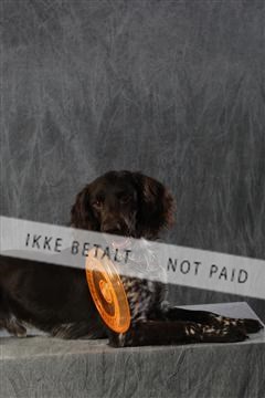 128239_le_kort_ 01_0050.JPG