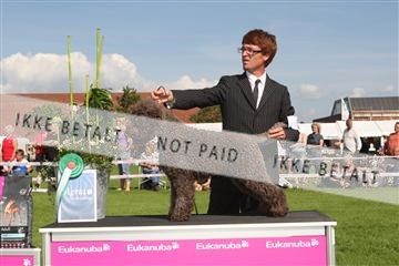 130370_se_03_IMG_7834.JPG