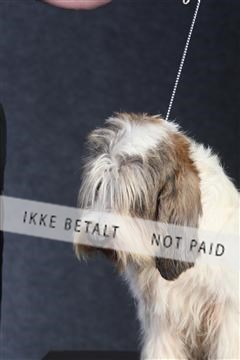 132082_le_ 01_IMG_0055.JPG