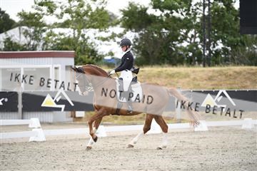 166078_kuo_02_D05_8629.JPG