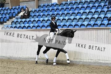 182241_kbb_01_Z094794.JPG