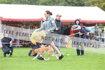 182009_rin_02_R62_2806.JPG