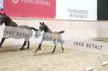 181754_kbb_01_Z092748.JPG