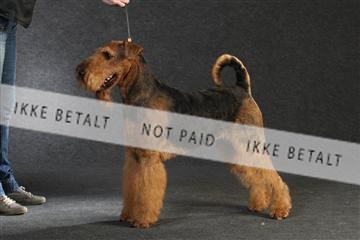 132082_le_ 01_IMG_0449.JPG