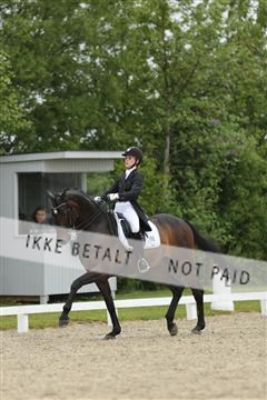 139835_sg_02_IMG_8393.JPG