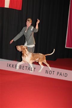 126827_le_07_img_0014.JPG