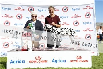 181564_ch_01__62_9561.JPG