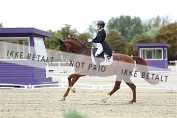 181923_mtp_04_R62_8542.JPG