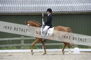 139898_ms_01__MS27699.JPG