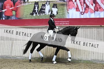 182241_kbb_01_Z094817.JPG