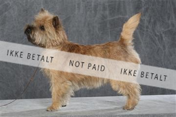 130054_le_ 03_0083.JPG