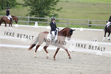 172030_mtp_01_3M5A1531.JPG