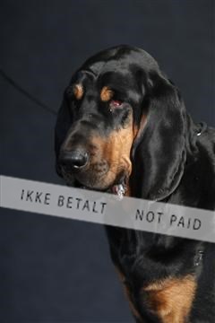 132082_le_ 01_IMG_0837.JPG