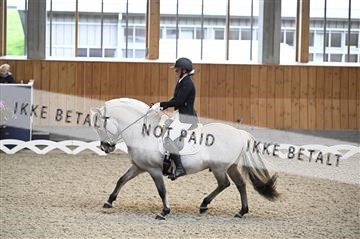 182176_kbb_01_Z093105.JPG