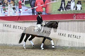 182241_kbb_01_Z094343.JPG