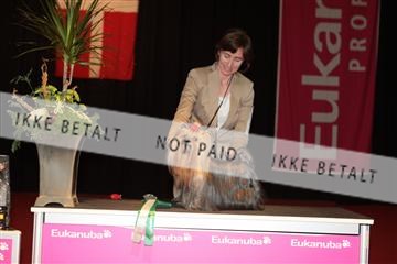 126827_tl_02_IMG_3074.JPG
