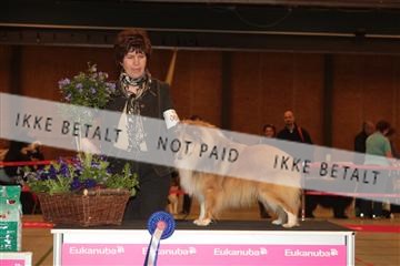 124188 _tl_02_IMG_9308.JPG