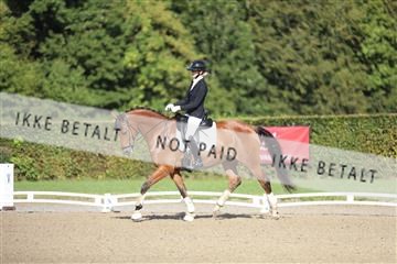 181957_mtp_01_3M5A7899.JPG