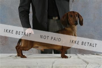 5493_sme _03__MG_9755.JPG