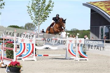 181436_avh_03_4668.JPG