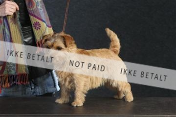 132082_le_ 01_IMG_0535.JPG