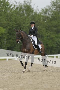139835_sg_02_IMG_8659.JPG