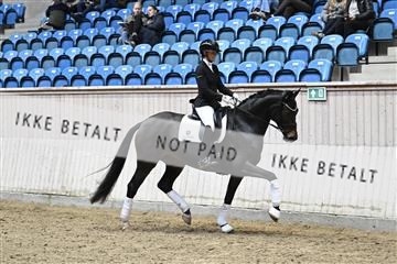 182241_kbb_01_Z093609.JPG